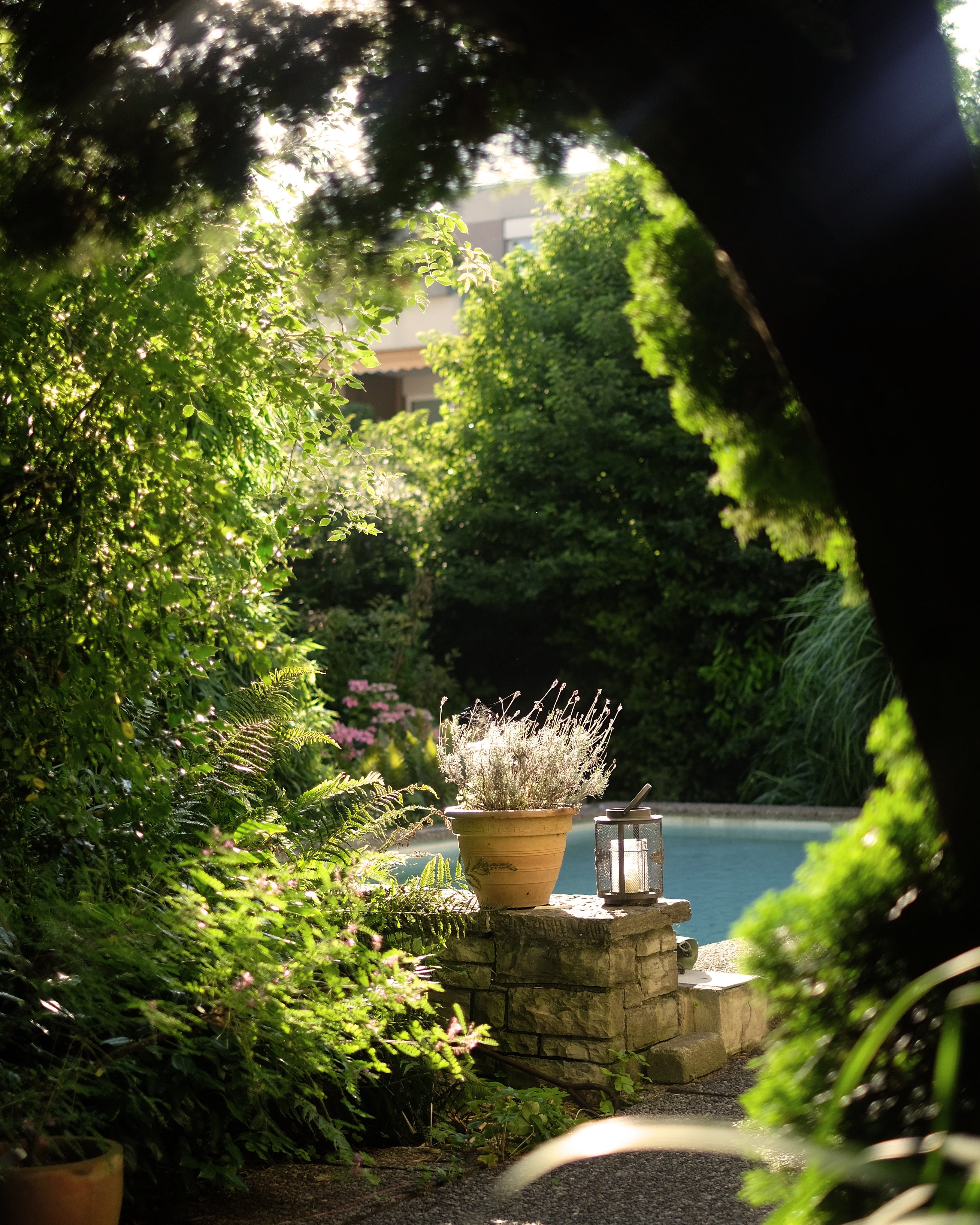 luscious green trees and hedges surrounding outdoor pool