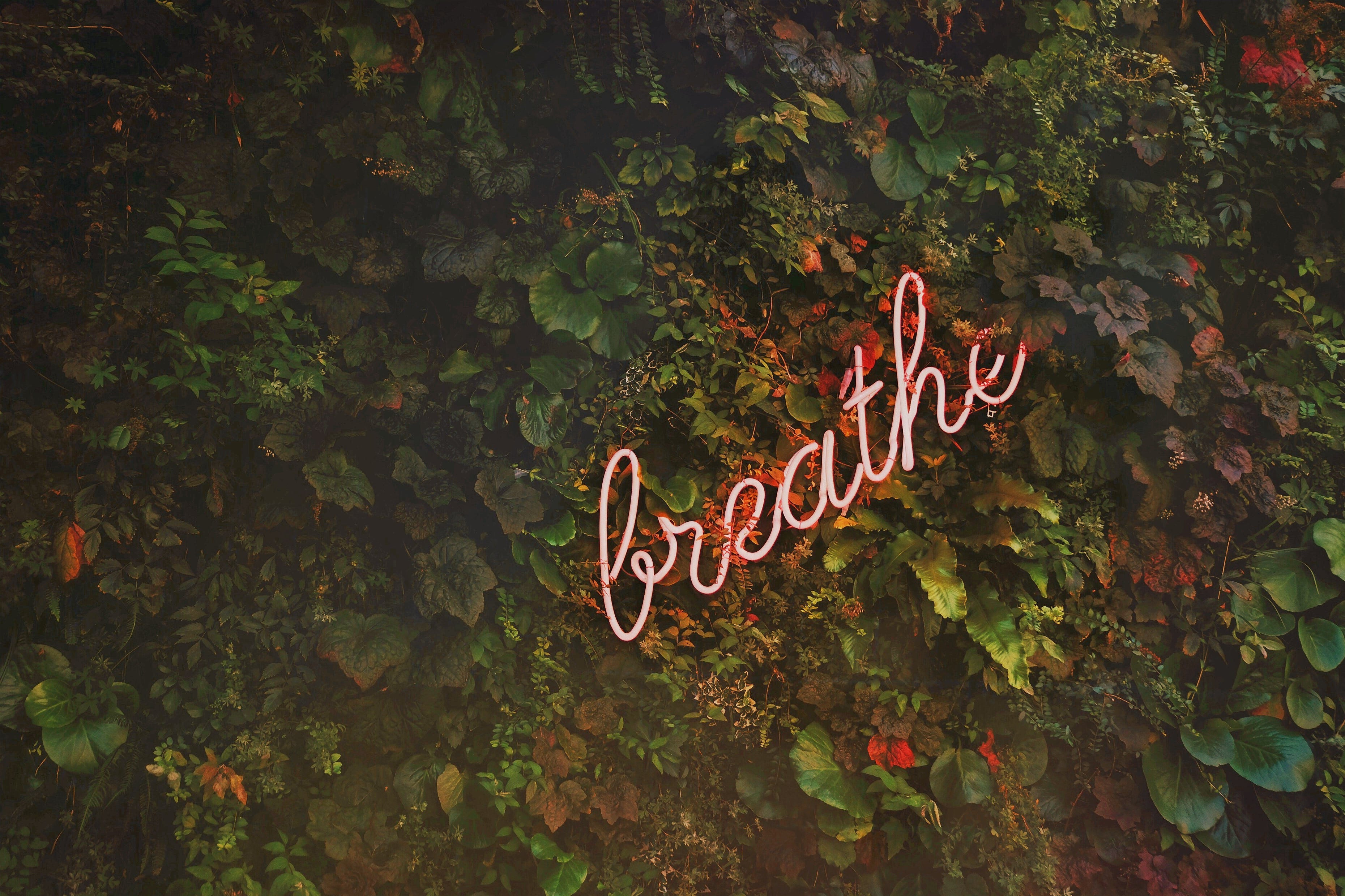 luscious background of green leaves with neon breathe sign