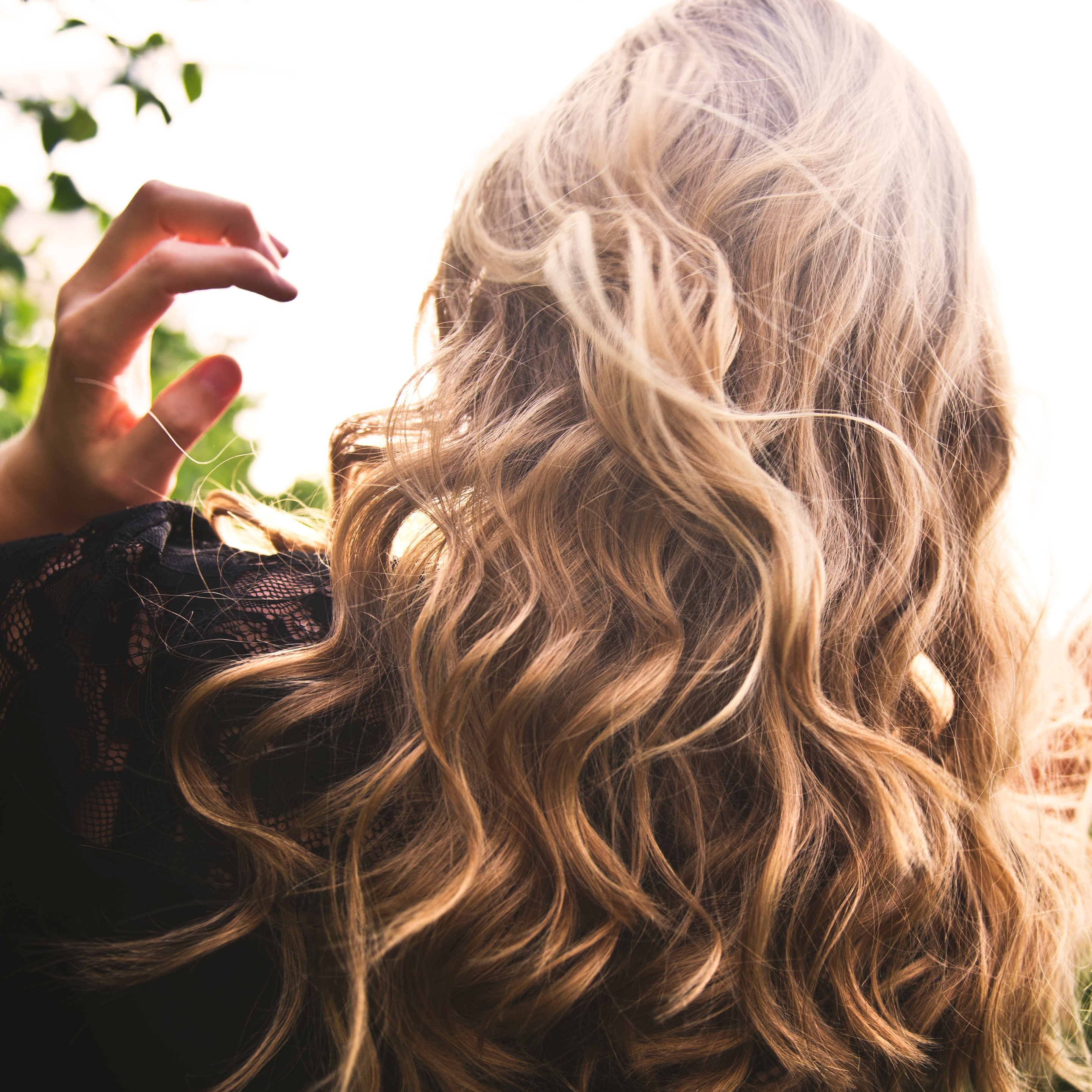 Back of womans head showing blonde hair glowing in the sun