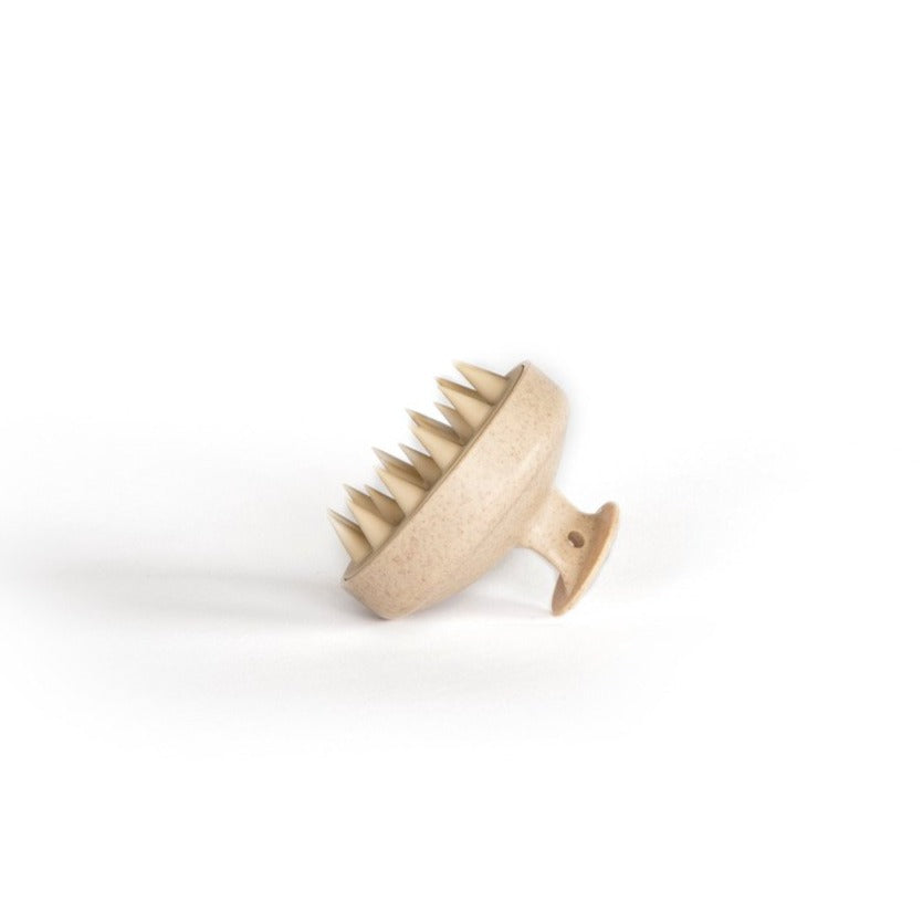 Profile image of To112 shampoo brush