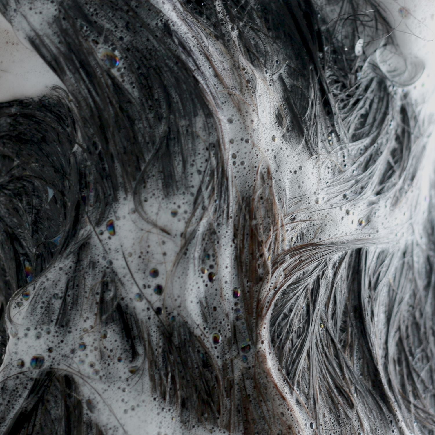 What's Really In Your Shampoo?