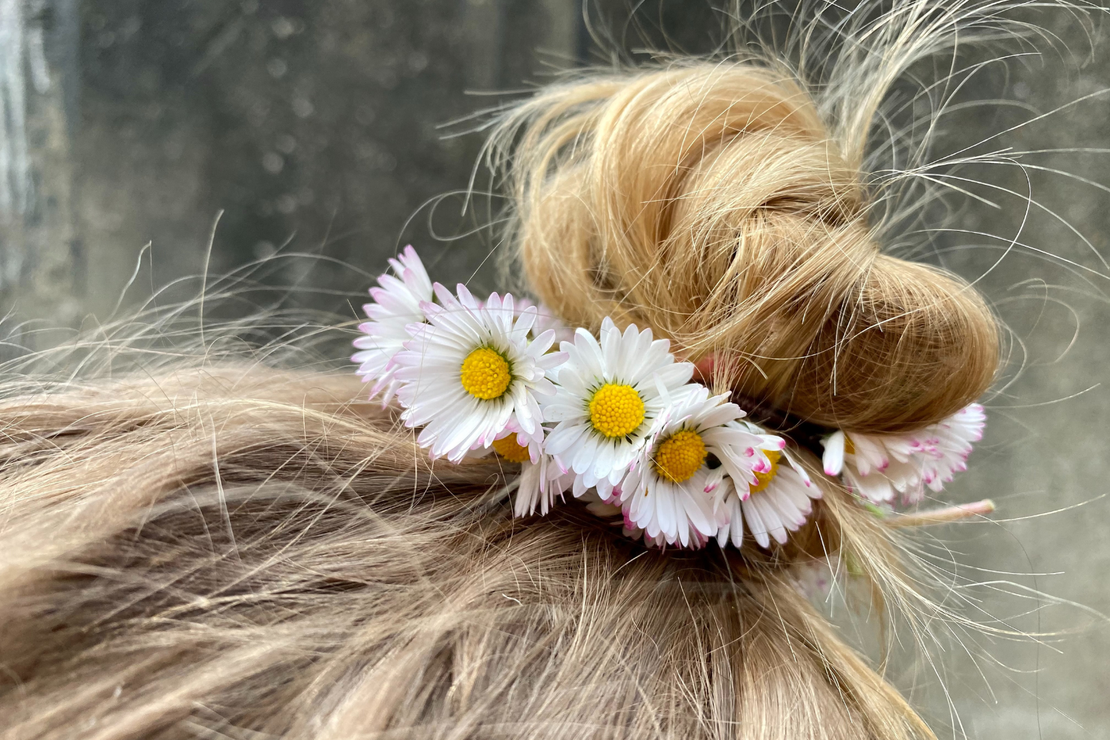 blonde hair in a bun with daisy crown