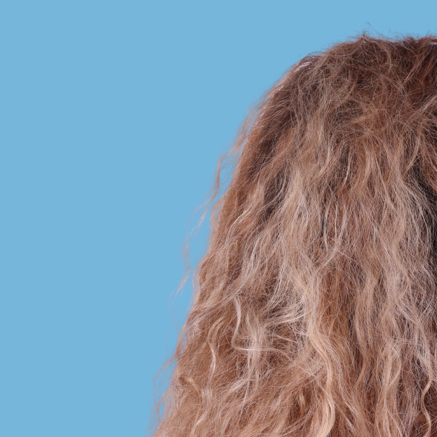 Why Is My Hair So Frizzy?