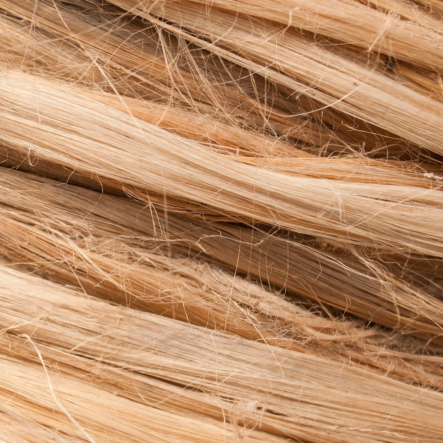 What Frizz Actually Is
